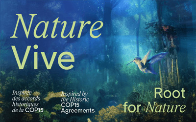 OASIS immersion présente Nature Vive, Jusqu'au 1 septembre 2024 
