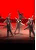 FASS 2009 | Ballet Biarritz 