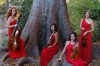 **SUSPENDU**eXcentris | Cecilia String Quartet Les quatuors redécouverts de Théodore Dubois  