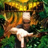 Le Reggae Bash 6e édition, Billets 1 Journée 