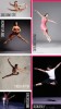 LES ÉTOILES INTERNATIONALES DE BALLET / A NIGHT WITH THE STARS 