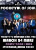 Pocketful Of Soul 