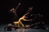 Les Grands Ballets 