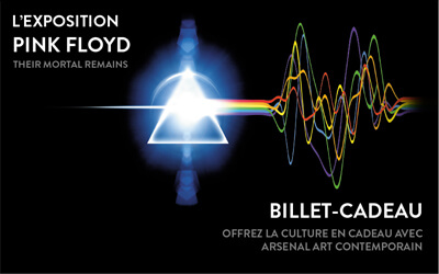 BILLET CADEAU - GIFT TICKET, L'EXPOSITION PINK FLOYD : Their Mortal Remains 
