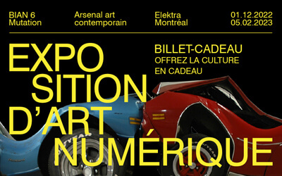 BILLET CADEAU - GIFT TICKET, BIAN 2022 - METAMORPHOSIS - MUTATION 