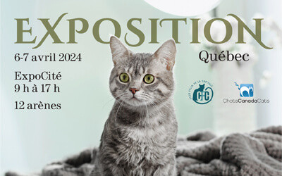 Exposition féline de Québec, 6-7 avril, 2024 Centre de foires de Québec, ExpoCité, Québec, QC